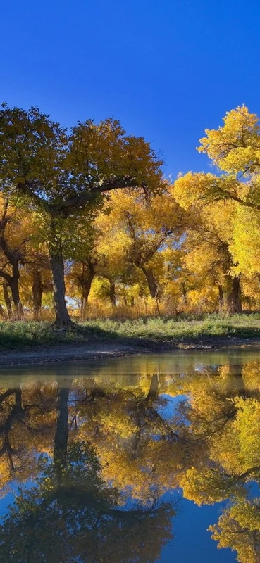 PeelitStickit, Beautiful Nature Wall Murals, ID-2848, vinyl