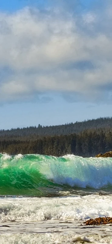 PeelitStickit, Beautiful Nature Wall Murals, ID-2844, vinyl