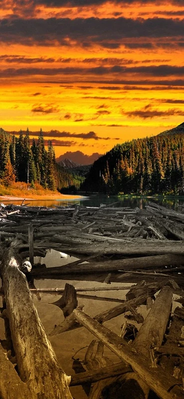 PeelitStickit, Beautiful Nature Wall Murals, ID-2849, vinyl