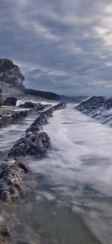 PeelitStickit, Beautiful Nature Wall Murals, ID-2852, vinyl