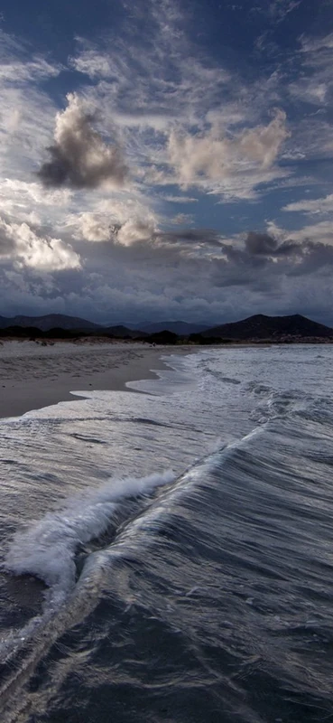 PeelitStickit, Beautiful Nature Wall Murals, ID-2857, vinyl