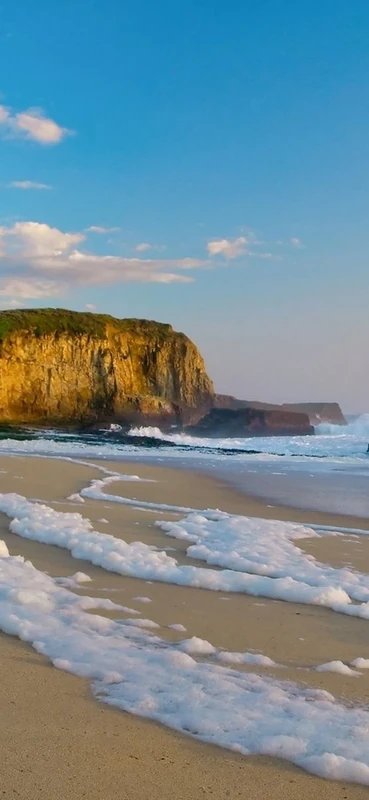 PeelitStickit, Beautiful Nature Wall Murals, ID-2868, vinyl