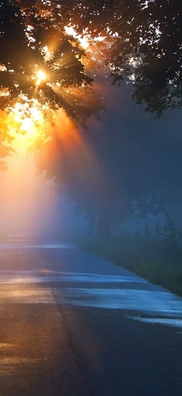 PeelitStickit, Beautiful Nature Wall Murals, ID-2865, vinyl