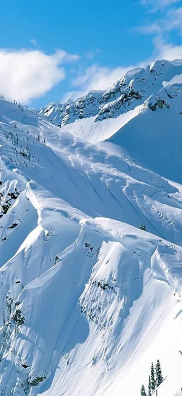 PeelitStickit, Beautiful Nature Wall Murals, ID-2870, vinyl