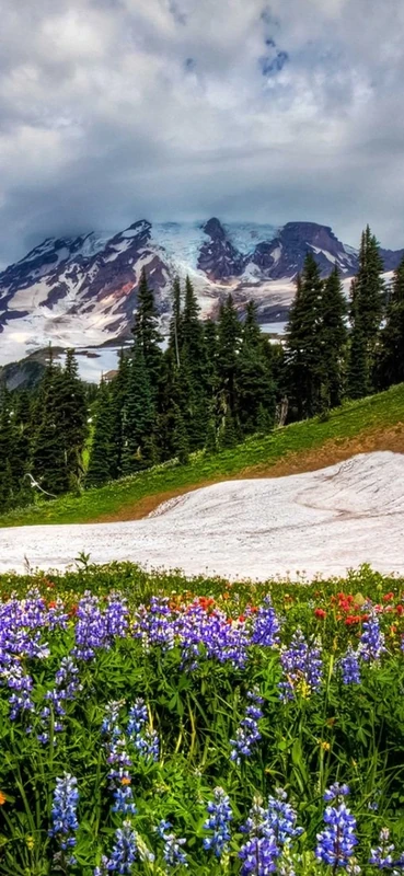 PeelitStickit, Beautiful Nature Wall Murals, ID-2867, vinyl