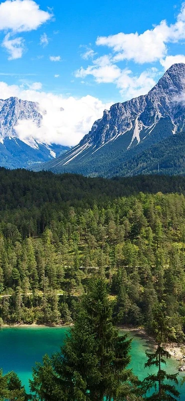 PeelitStickit, Beautiful Nature Wall Murals, ID-2872, vinyl