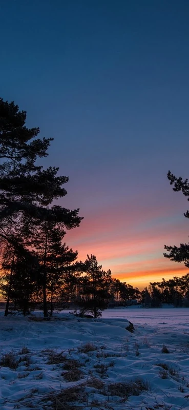 PeelitStickit, Beautiful Nature Wall Murals, ID-2881, vinyl