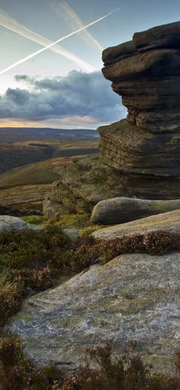 PeelitStickit, Beautiful Nature Wall Murals, ID-2883, vinyl