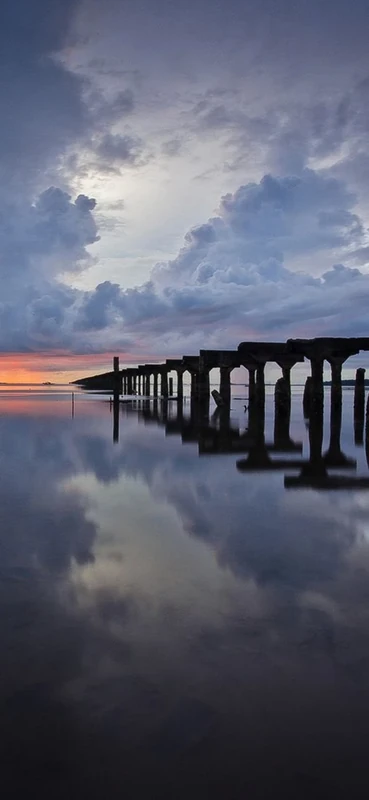 PeelitStickit, Beautiful Nature Wall Murals, ID-2882, vinyl