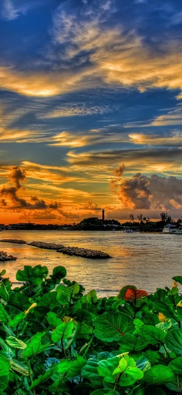 PeelitStickit, Beautiful Nature Wall Murals, ID-2890, vinyl