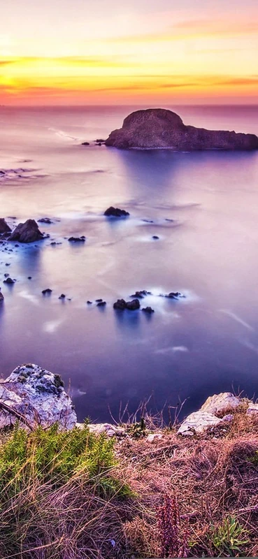 PeelitStickit, Beautiful Nature Wall Murals, ID-2885, vinyl