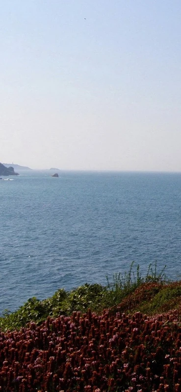 PeelitStickit, Beautiful Nature Wall Murals, ID-2902, vinyl