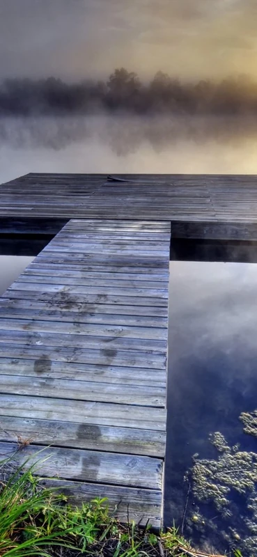 PeelitStickit, Beautiful Nature Wall Murals, ID-2910, vinyl