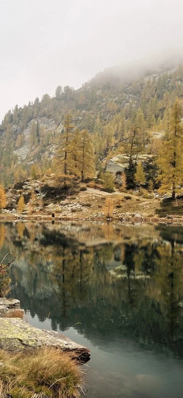 PeelitStickit, Beautiful Nature Wall Murals, ID-2907, vinyl