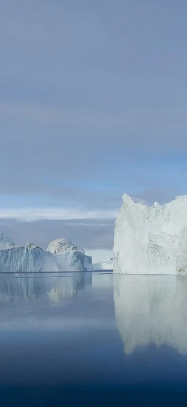 PeelitStickit, Beautiful Nature Wall Murals, ID-2909, vinyl