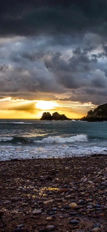 PeelitStickit, Beautiful Nature Wall Murals, ID-2916, vinyl