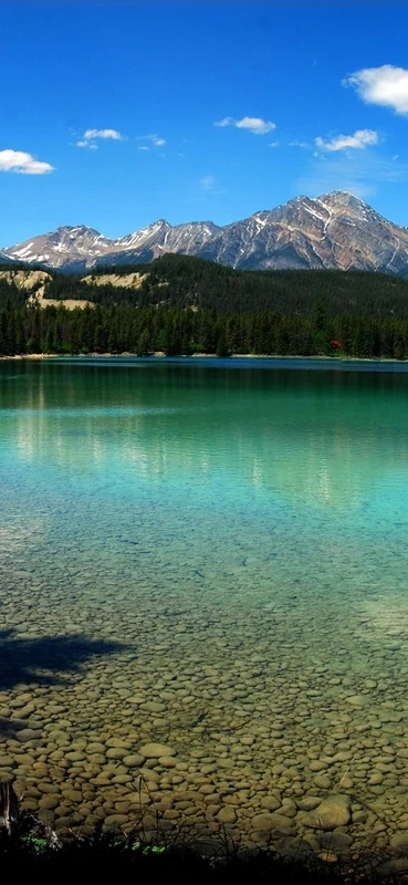 PeelitStickit, Beautiful Nature Wall Murals, ID-2924, vinyl