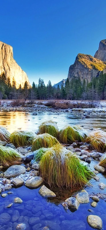 PeelitStickit, Beautiful Nature Wall Murals, ID-3101, vinyl