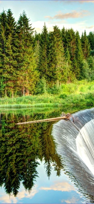 PeelitStickit, Beautiful Nature Wall Murals, ID-3106, vinyl