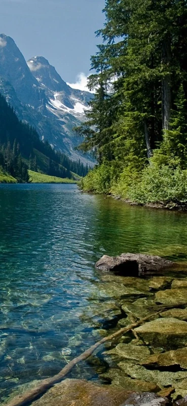 PeelitStickit, Beautiful Nature Wall Murals, ID-3115, vinyl