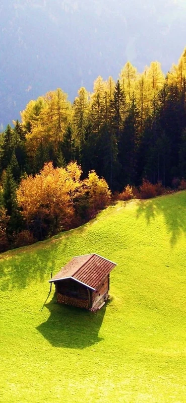 PeelitStickit, Beautiful Nature Wall Murals, ID-3123, vinyl