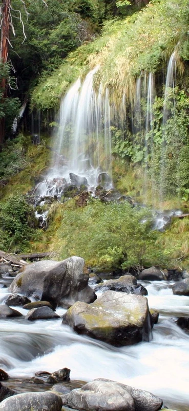 PeelitStickit, Beautiful Nature Wall Murals, ID-3128, vinyl