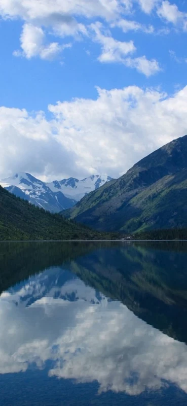 PeelitStickit, Beautiful Nature Wall Murals, ID-3131, vinyl