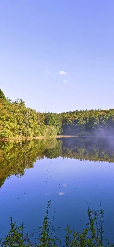 PeelitStickit, Beautiful Nature Wall Murals, ID-3139, vinyl