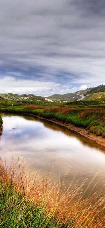 PeelitStickit, Beautiful Nature Wall Murals, ID-3144, vinyl