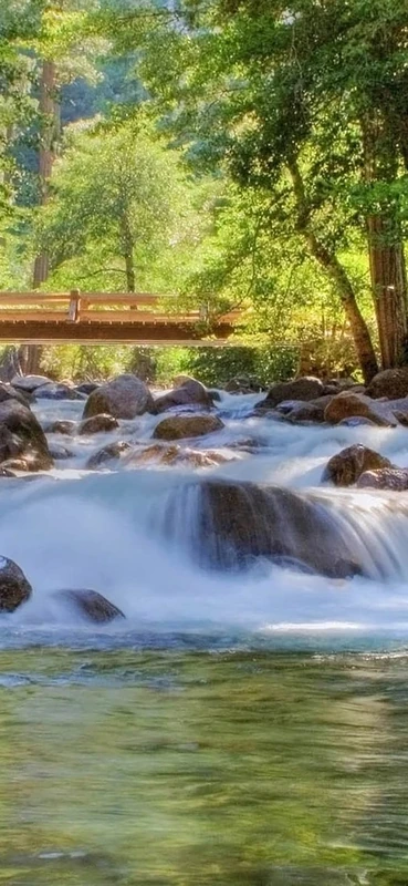 PeelitStickit, Beautiful Nature Wall Murals, ID-3152, vinyl