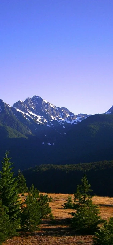 PeelitStickit, Beautiful Nature Wall Murals, ID-3156, vinyl