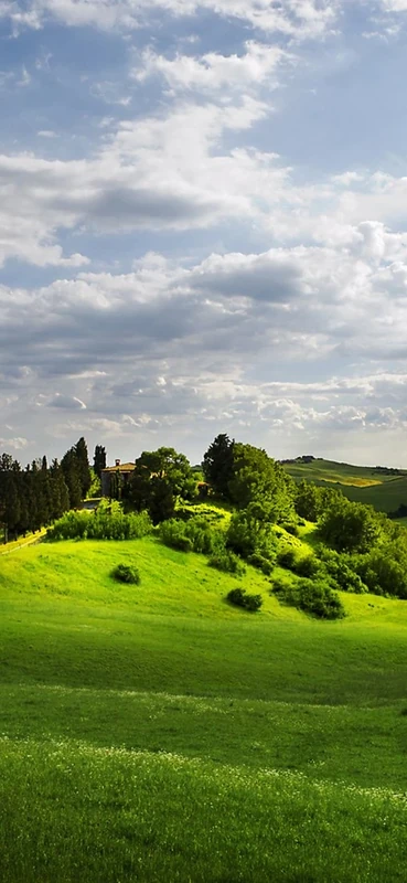 PeelitStickit, Beautiful Nature Wall Murals, ID-3159, vinyl