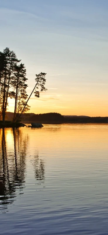 PeelitStickit, Beautiful Nature Wall Murals, ID-3163, vinyl