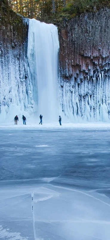 PeelitStickit, Beautiful Nature Wall Murals, ID-3173, vinyl