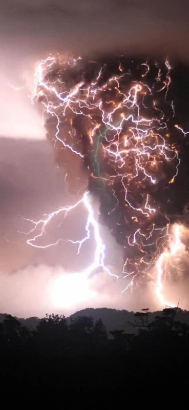 PeelitStickit, Beautiful Nature Wall Murals, ID-3171, vinyl