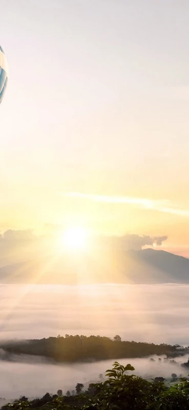 PeelitStickit, Beautiful Nature Wall Murals, ID-3168, vinyl