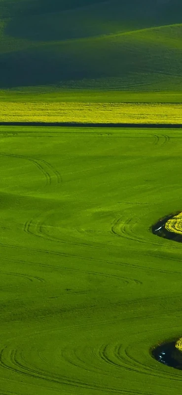 PeelitStickit, Beautiful Nature Wall Murals, ID-3179, vinyl