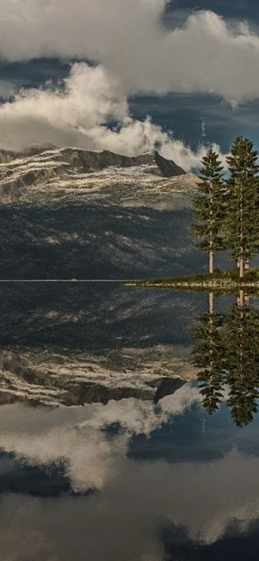 PeelitStickit, Beautiful Nature Wall Murals, ID-3177, vinyl