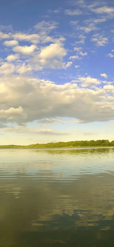 PeelitStickit, Beautiful Nature Wall Murals, ID-3189, vinyl