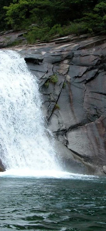 PeelitStickit, Beautiful Nature Wall Murals, ID-3211, vinyl