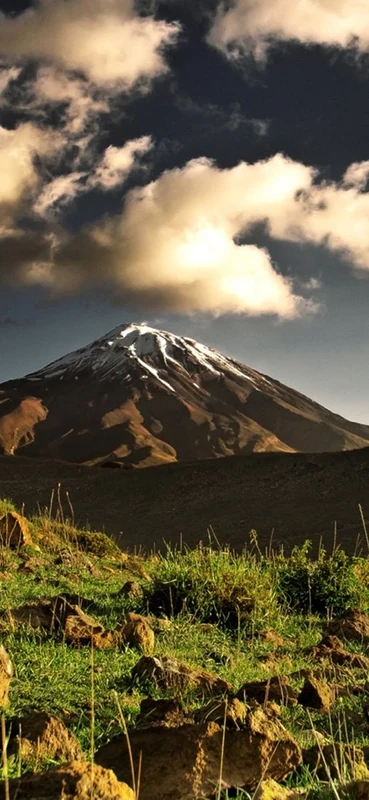 PeelitStickit, Beautiful Nature Wall Murals, ID-3218, vinyl