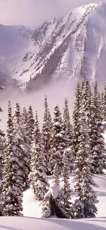 PeelitStickit, Beautiful Nature Wall Murals, ID-3225, vinyl