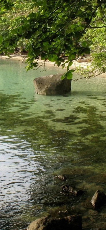 PeelitStickit, Beautiful Nature Wall Murals, ID-3227, vinyl