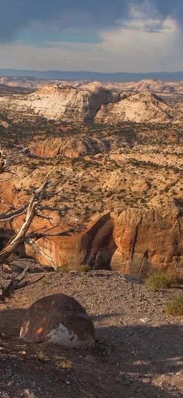 PeelitStickit, Beautiful Nature Wall Murals, ID-3235, vinyl