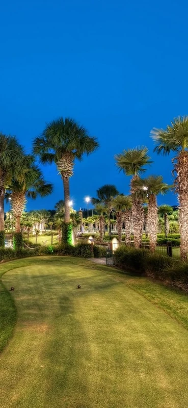 PeelitStickit, Beautiful Nature Wall Murals, ID-3231, vinyl