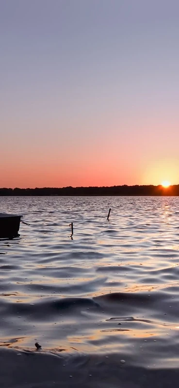 PeelitStickit, Beautiful Nature Wall Murals, ID-3230, vinyl