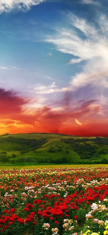 PeelitStickit, Beautiful Nature Wall Murals, ID-3241, vinyl