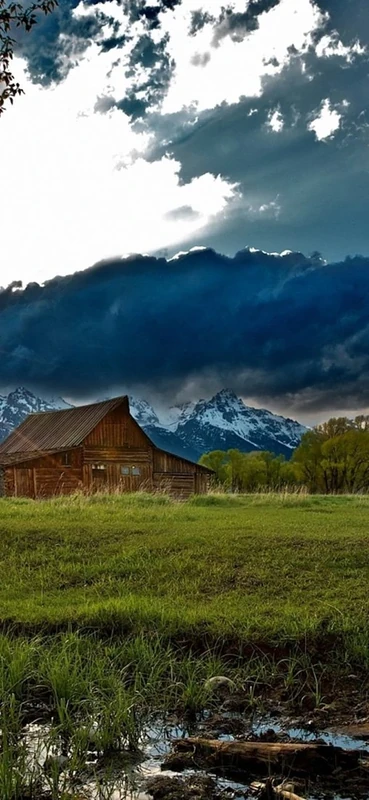 PeelitStickit, Beautiful Nature Wall Murals, ID-3249, vinyl