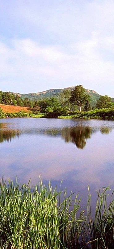 PeelitStickit, Beautiful Nature Wall Murals, ID-3272, vinyl