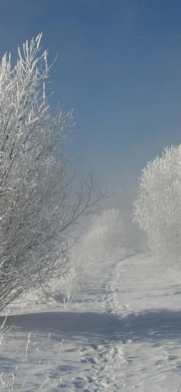 PeelitStickit, Beautiful Nature Wall Murals, ID-3296, vinyl